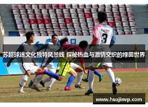苏超球迷文化独特风景线 探秘热血与激情交织的绿茵世界 苏超球迷文化独特风景线 探秘热血与激情交织的绿茵世界